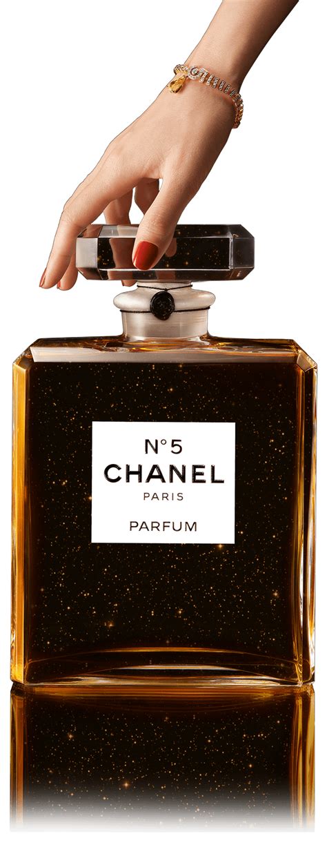 le n 5 chanel grand extrait|chanel no 5 price.